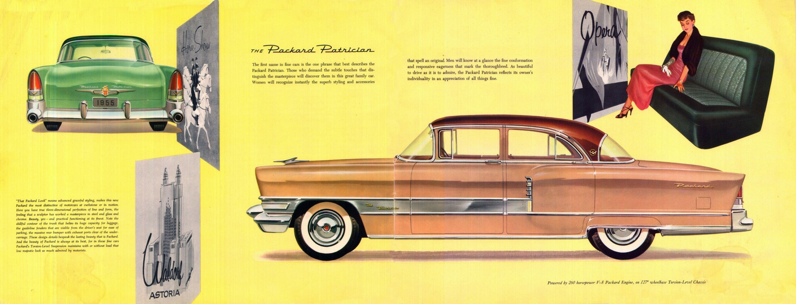 n_1955 The New Packard-04-05.jpg